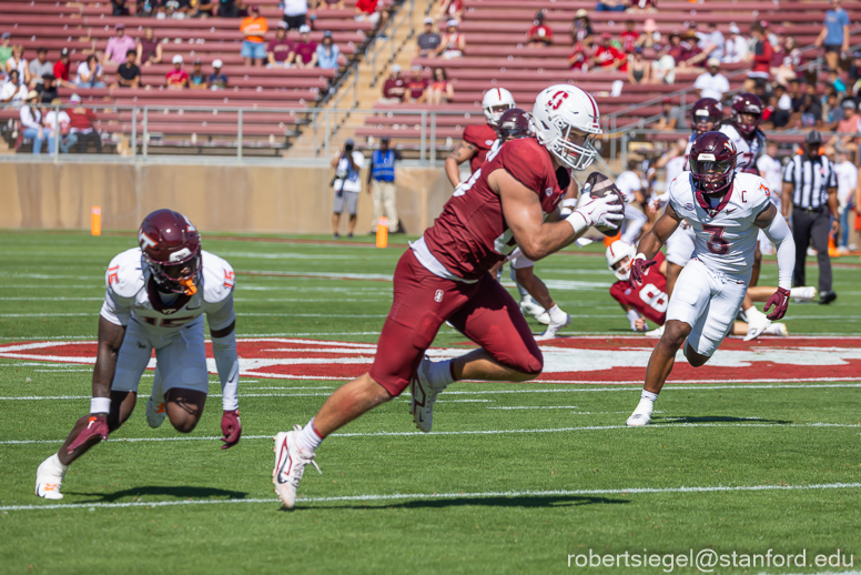 stanford football 2024